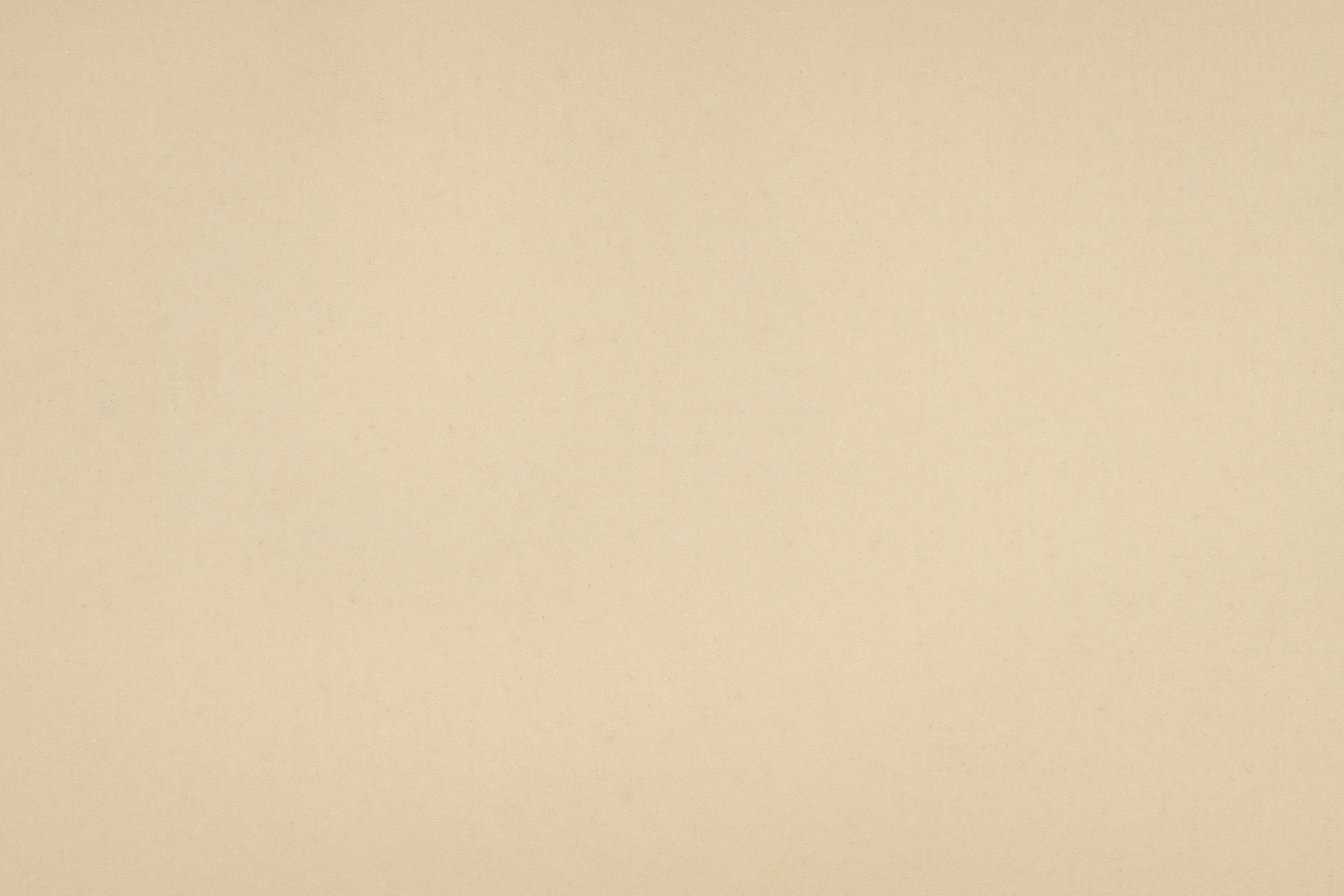 Light Camel